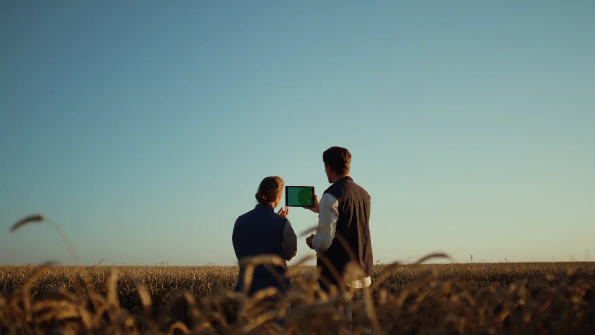 two farmers standing in field